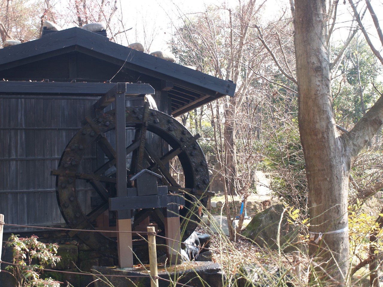 d0054276_2091695.jpg