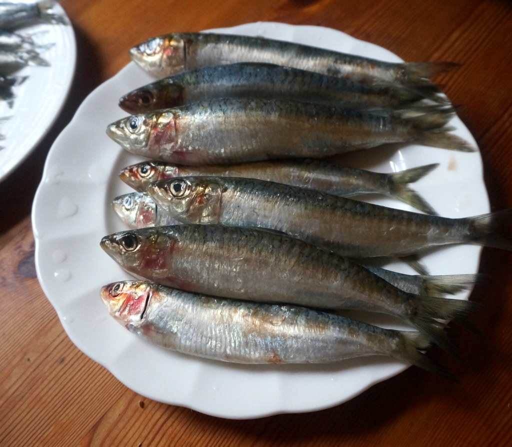 宇野夫妻ベルリン滞在最後の二日(後編)_c0180686_01473937.jpg
