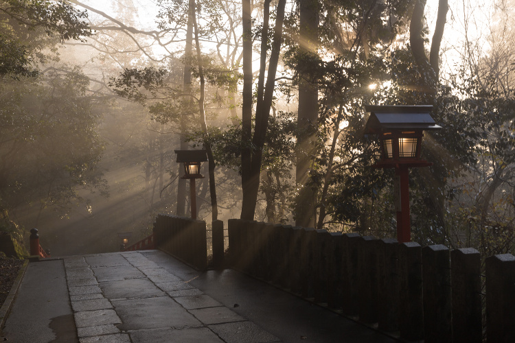 鞍馬寺_e0051888_7134188.jpg