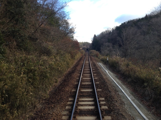 JR関西線 亀山~加茂 ひたすら線路と駅。_a0334793_03490671.jpg