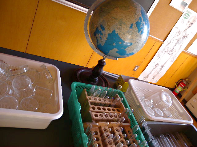 a0199297_188941.jpg