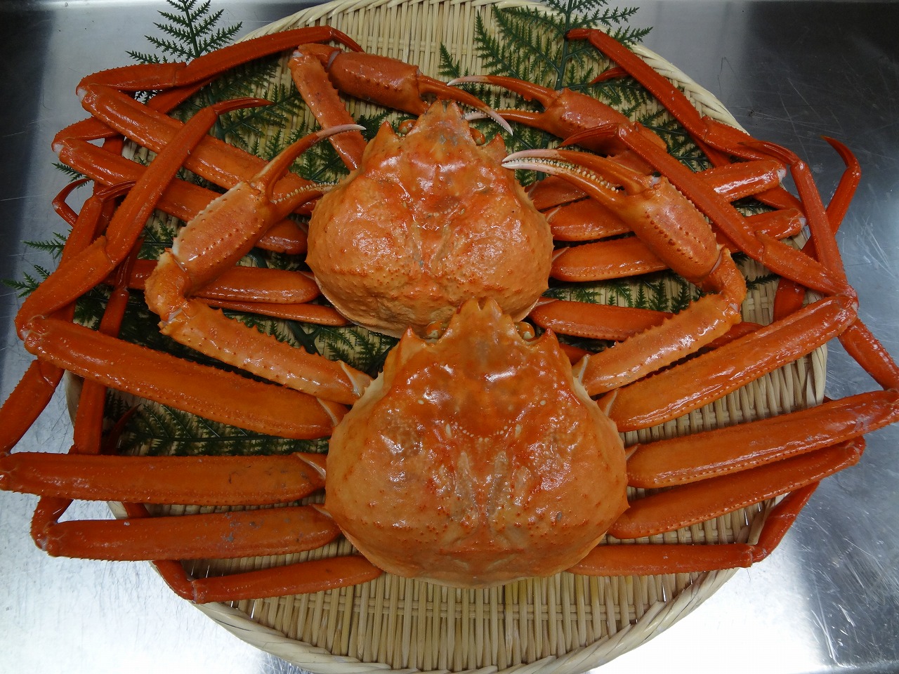 謹賀新年 2016_d0235898_10274598.jpg