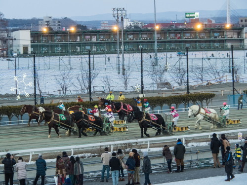 今年も初詣は「ばんえい競馬」です。_f0276498_00020436.jpg