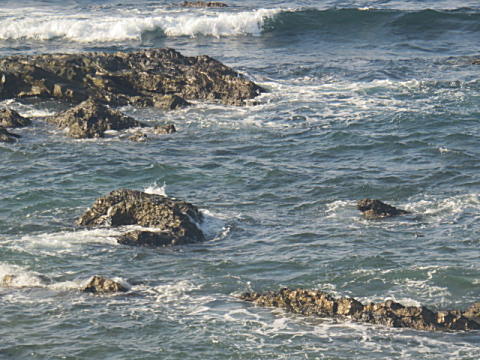 d0046702_5512455.jpg