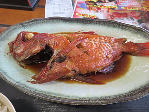 d0046702_55202.jpg