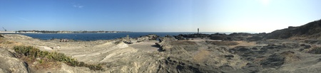 d0163003_16950100.jpg