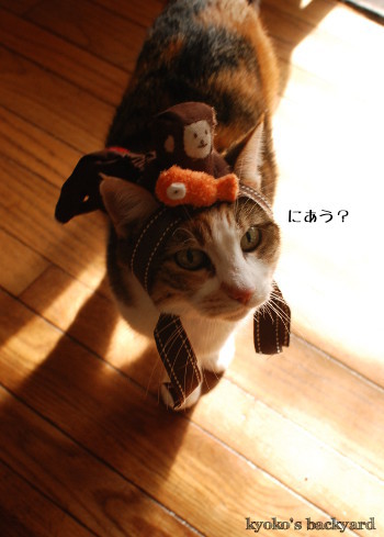 申年の被り物_b0253205_03392326.jpg