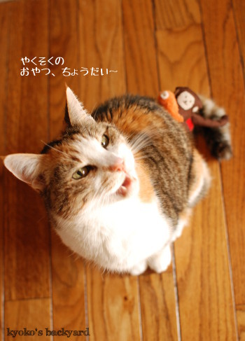申年の被り物_b0253205_03411591.jpg