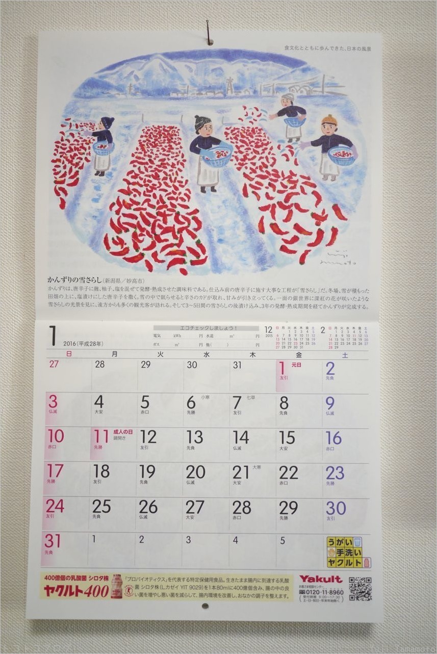 ヤクルトカレンダー２０１６年１月 トコトコブログ