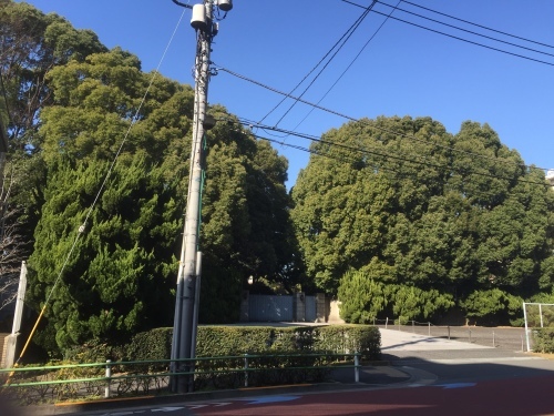 a0343409_01074129.jpeg