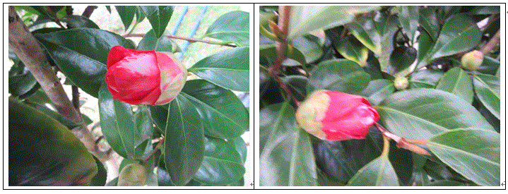f0231709_1425108.gif