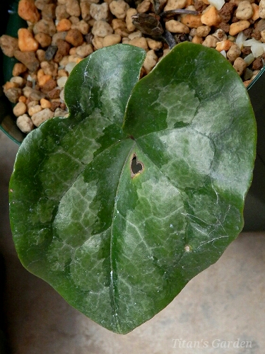 b0099813_02515100.jpg