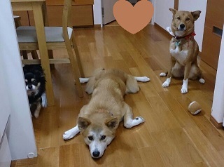 c0315313_22384811.jpg