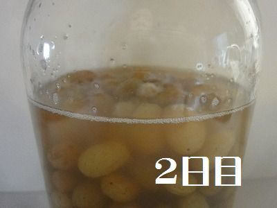 自家製酵母「レーズン」_f0328313_10485439.jpg