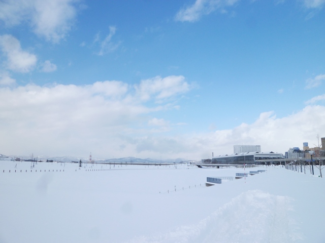 e0336214_1118284.jpg