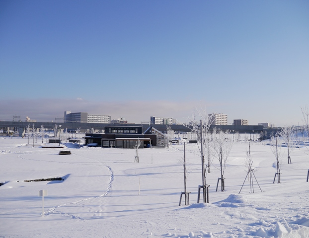 e0336214_111899.jpg