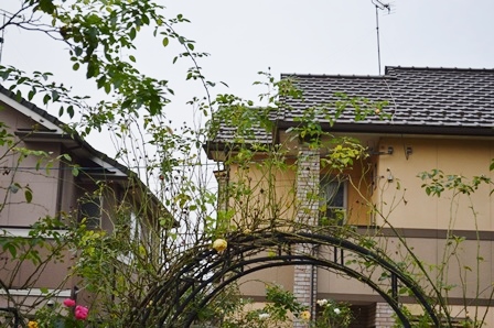 d0096422_1314981.jpg