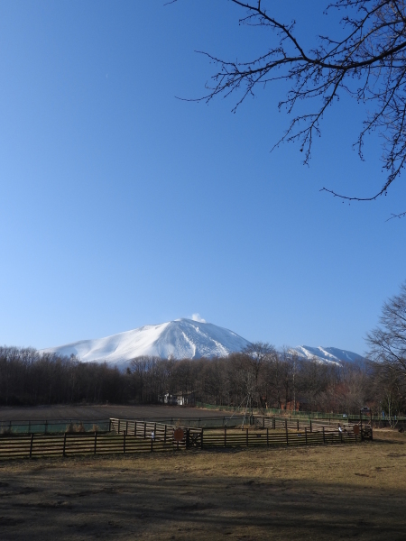 雪のないキャンプ場内から_b0174425_12153847.jpg