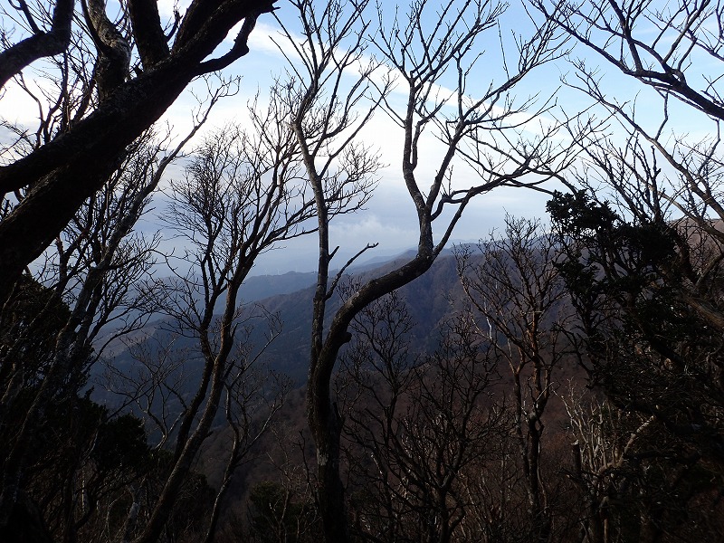 e0284726_23234518.jpg