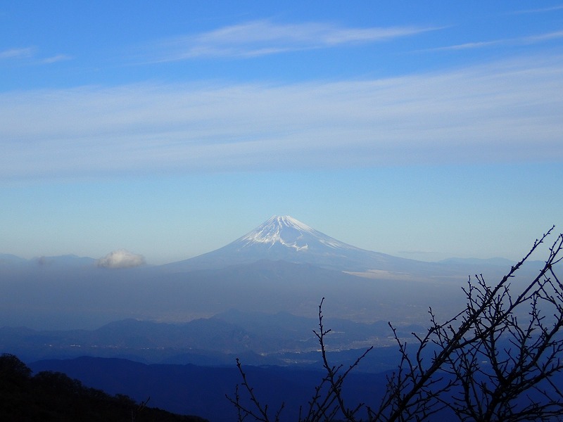 e0284726_2323593.jpg