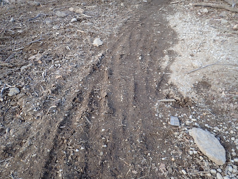 e0284726_23242620.jpg