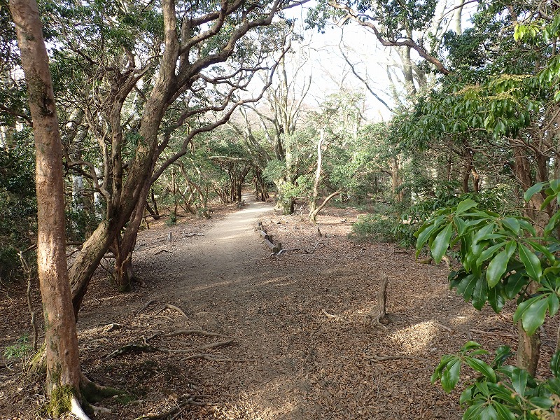 e0284726_23255540.jpg