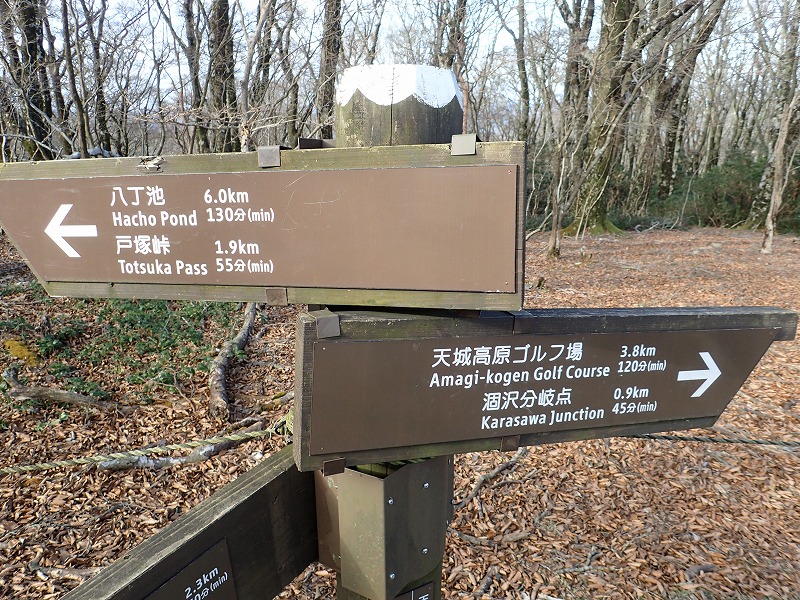 e0284726_23321533.jpg