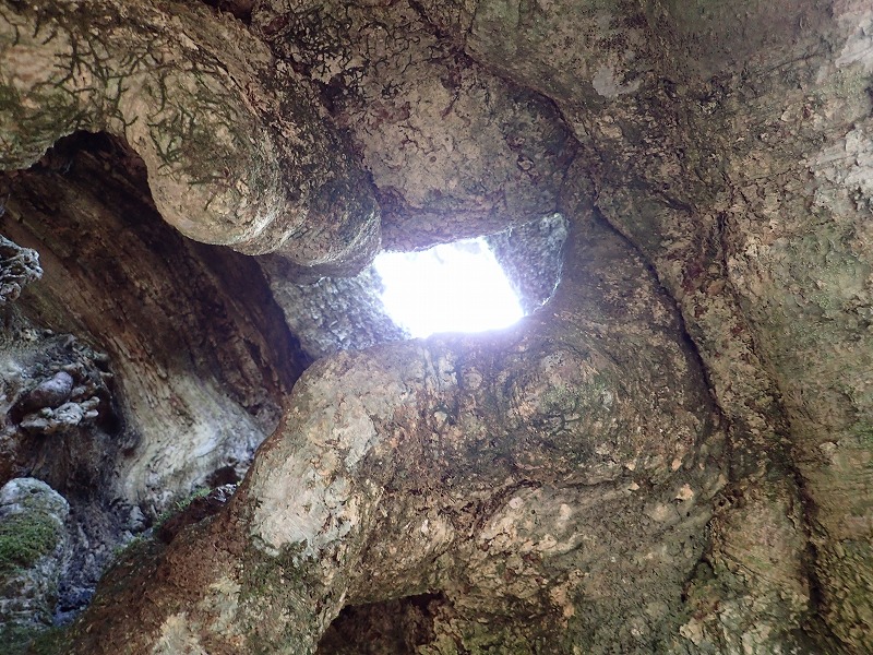 e0284726_23335351.jpg