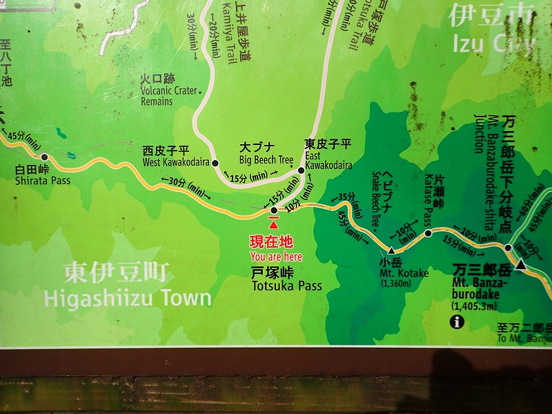 e0284726_23344016.jpg