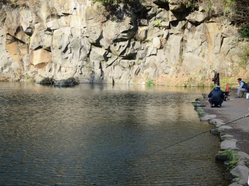 e0198329_11413405.jpg