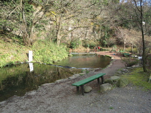 e0198329_11425444.jpg