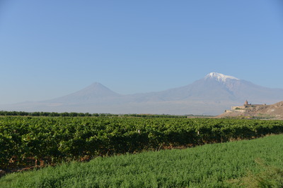 a0124132_1493334.jpg
