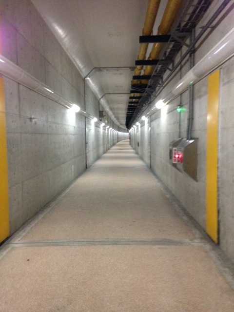 a0053648_1829515.jpg