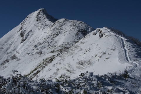 b0189948_2365867.jpg