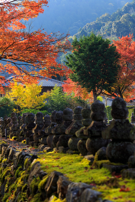 京都の紅葉2015・彩りの化野念仏寺_f0155048_19464942.jpg