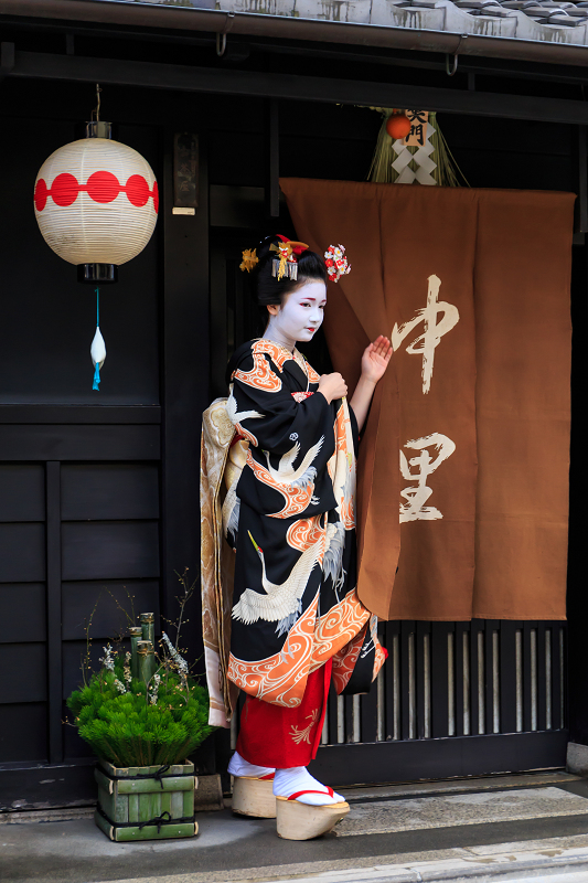 新年の挨拶回り(上七軒・中里のみなさん)_f0155048_2305985.jpg