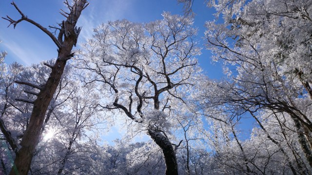 大峰　母公堂～稲村ヶ岳～母公堂　樹氷♪_b0148050_2130563.jpg