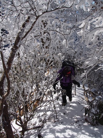 大峰　母公堂～稲村ヶ岳～母公堂　樹氷♪_b0148050_21404382.jpg