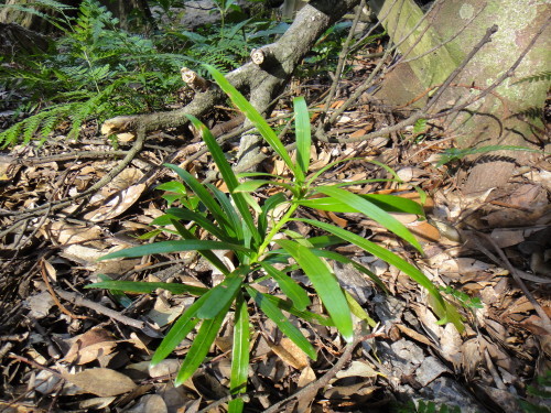 c0179351_16572279.jpg
