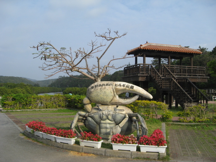 沖縄 東村ふれあいヒルギ公園 コユリリーの 沖縄絵葉書 Postcards Of Okinawa