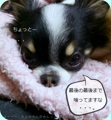 b0112758_23505743.png