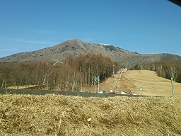 f0130259_1727810.jpg
