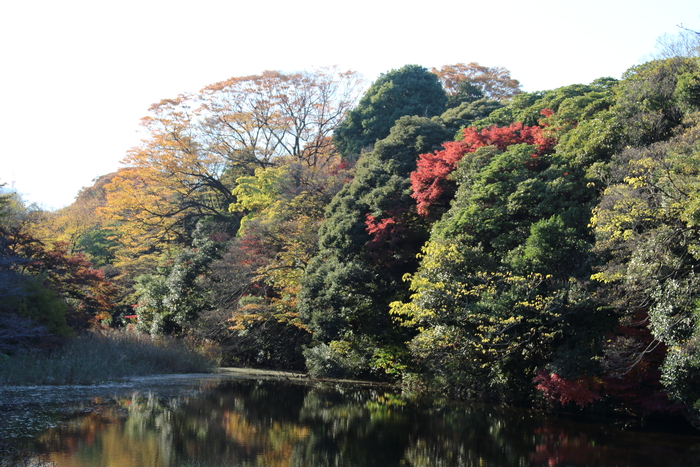 皇居乾通り、一般公開へ　3_d0152261_13175676.jpg