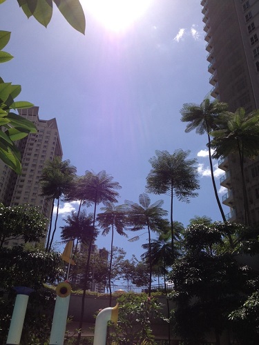 b0145863_2246458.jpg