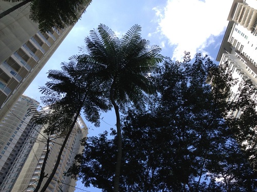 b0145863_22481157.jpg