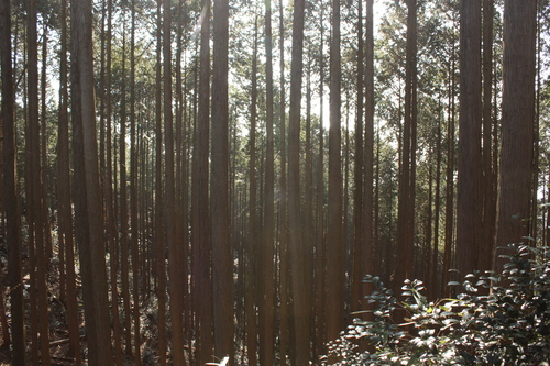 b0145366_20431123.jpg