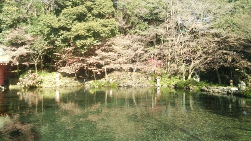 c0144868_06230579.jpg