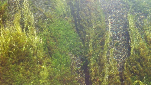 c0144868_06241734.jpg