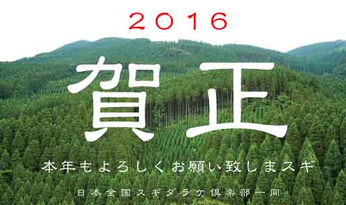2016年も宜しくお願いしまスギ!!_b0068169_11112873.jpg