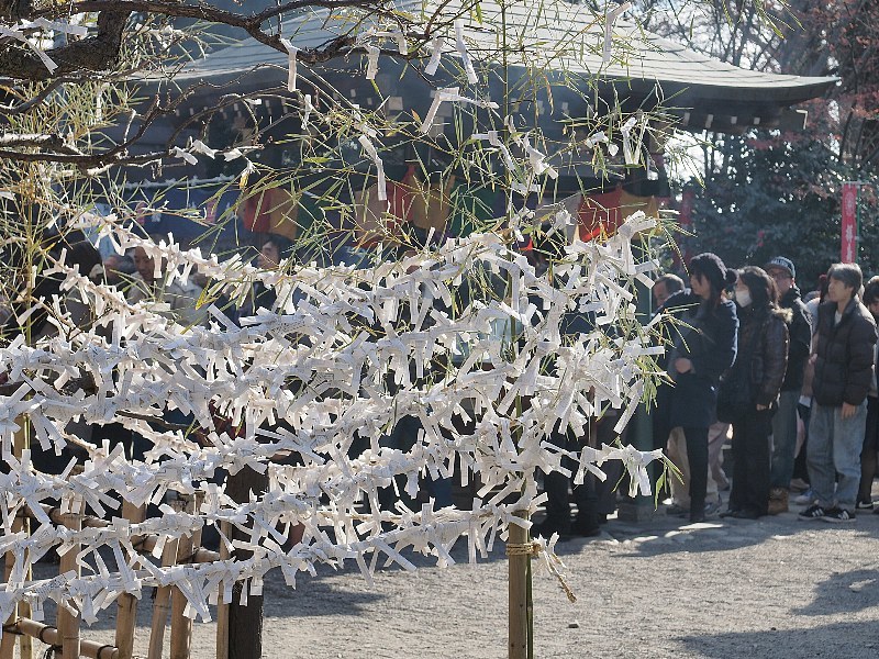 大日堂、日吉神社_a0330871_23332835.jpg